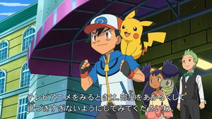 Pokémon Negro y Blanco Temporada 15: Destinos Rivales 